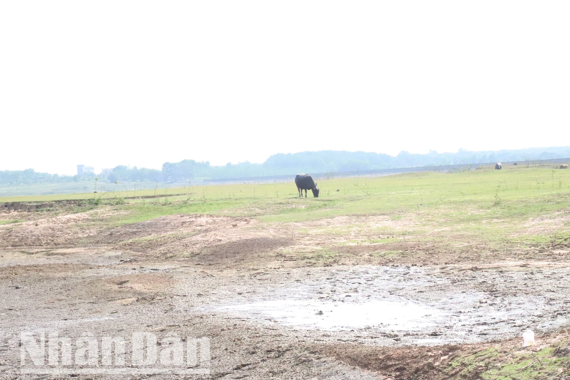 Đắk Lắk đang đối mặt với khô hạn ảnh 18