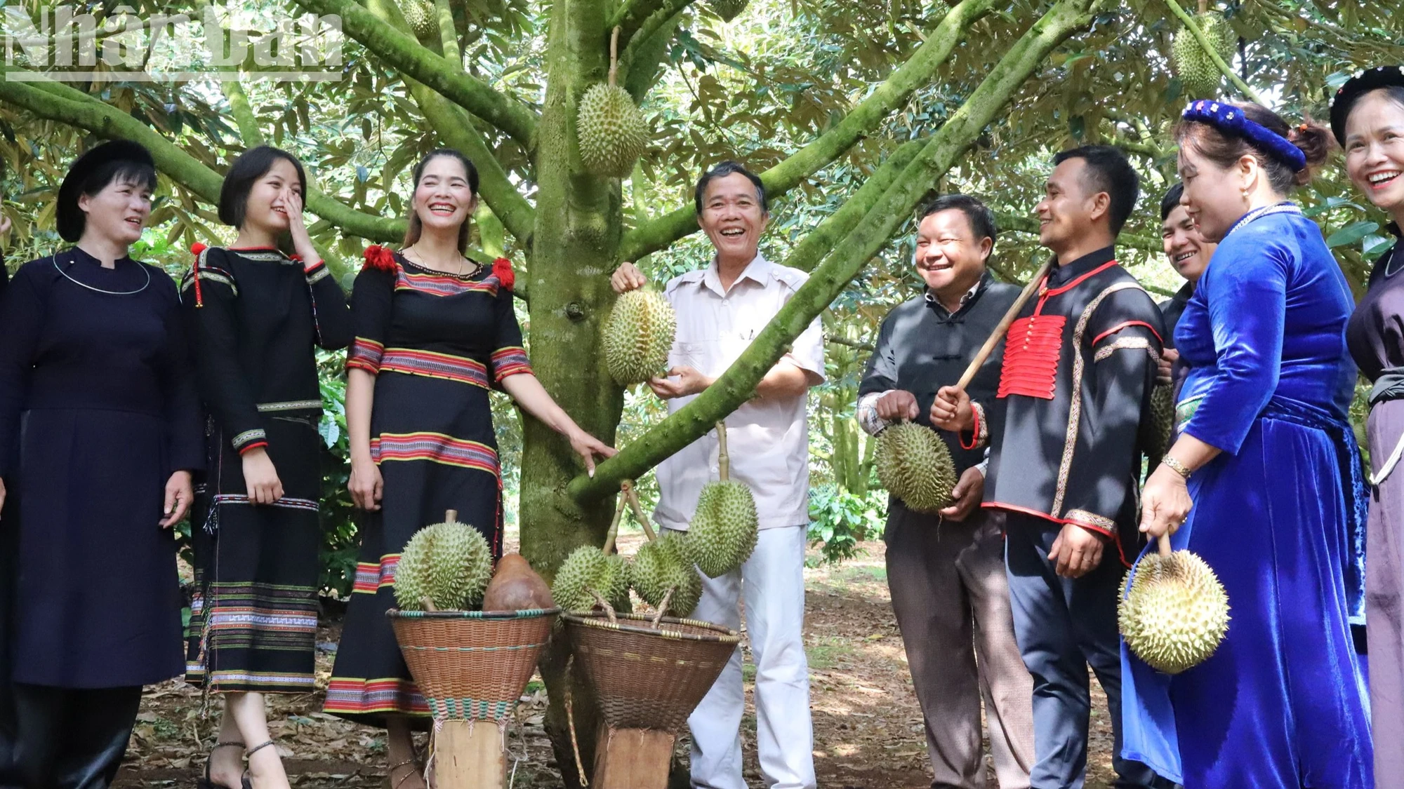 Đến nay, mọi công tác chuẩn bị cho Lễ hội Sầu riêng huyện Krông Pắc lần thứ 2 năm 2024 đã hoàn tất, đồng bào các dân tộc huyện Krông Pắc sẵn sàng đón du khách gần xa đến với lễ hội với chuỗi 12 hoạt động hấp dẫn.