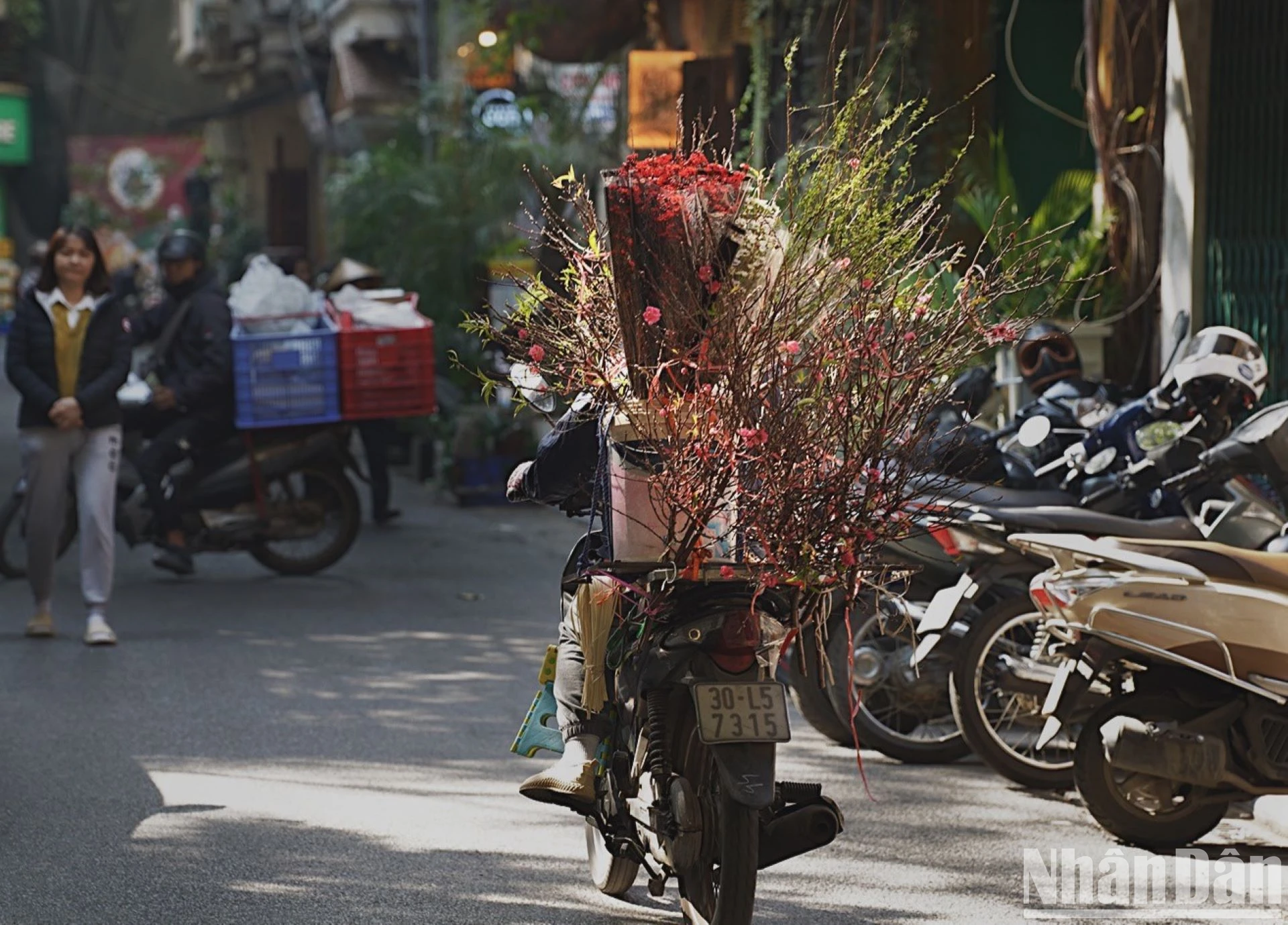 [Ảnh] Mùa đông Hà Nội đến chậm ảnh 6