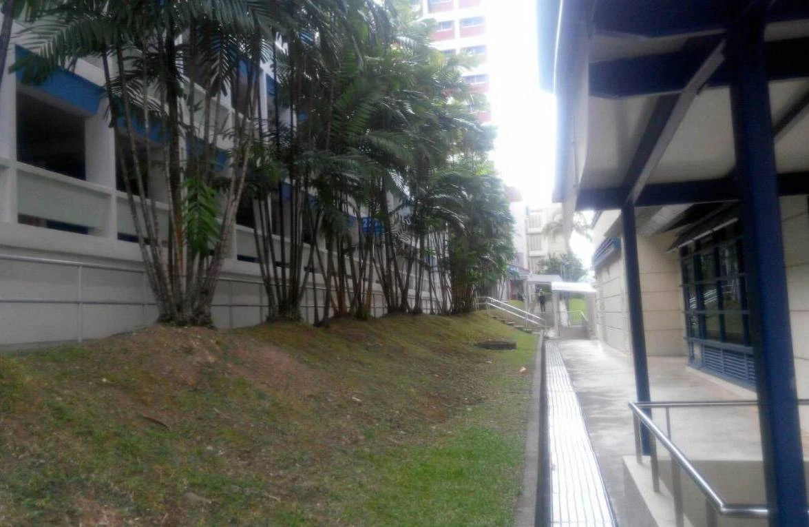 Singapore và 200km đường đi bộ có mái che ảnh 2