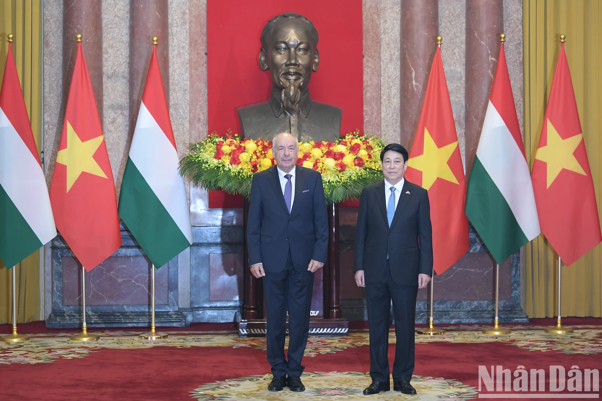 [Photo] President Luong Cuong holds talks with Hungarian President Sulyok Tamás photo 6