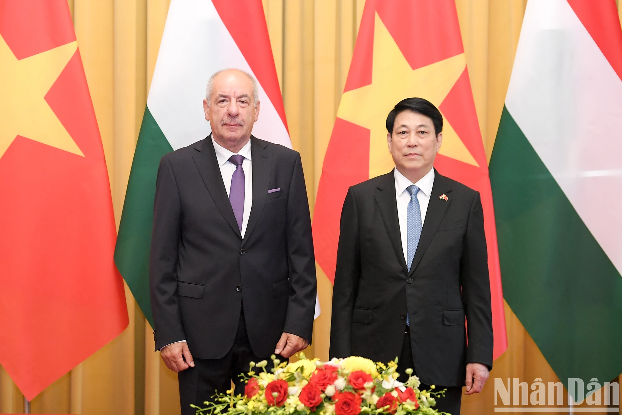 [Photo] President Luong Cuong holds talks with Hungarian President Sulyok Tamás photo 2