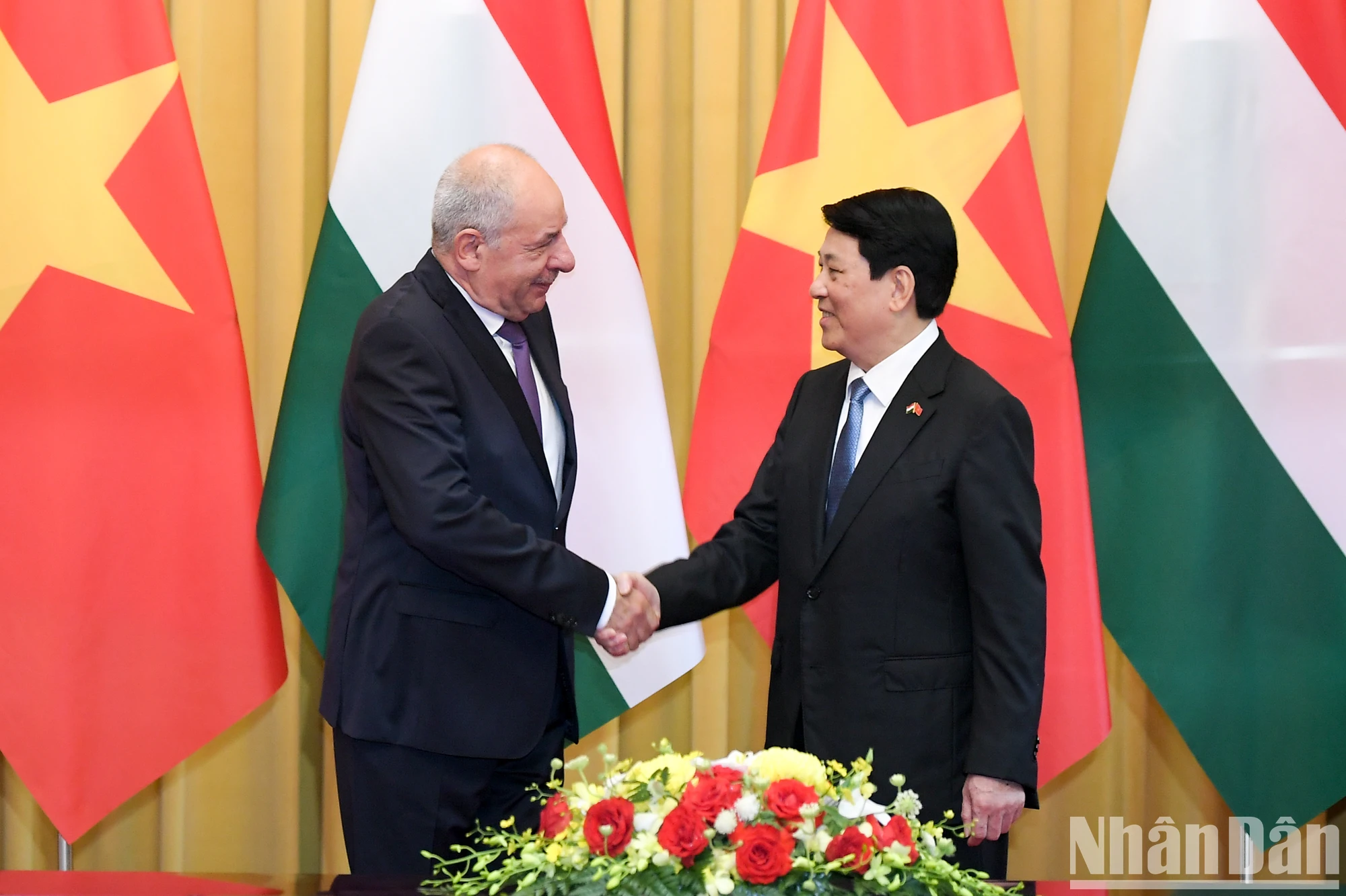 [Photo] President Luong Cuong holds talks with Hungarian President Sulyok Tamás photo 1