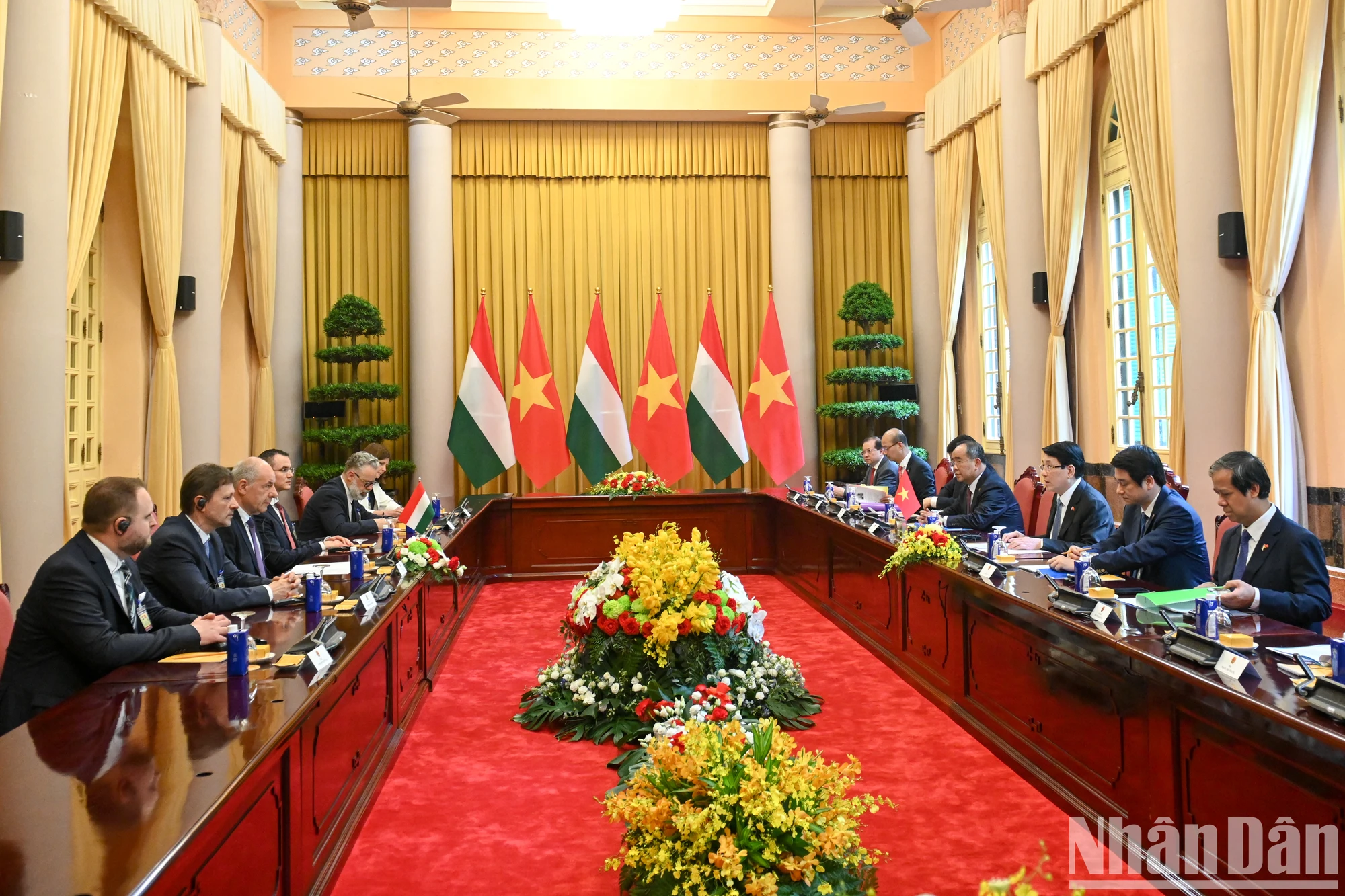 [Photo] President Luong Cuong holds talks with Hungarian President Sulyok Tamás photo 3