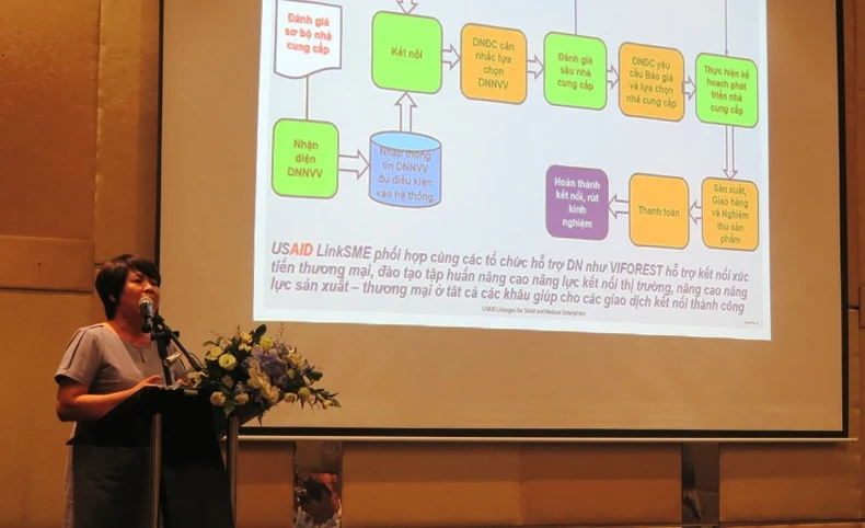 Thúc đẩy sản xuất và xuất khẩu bền vững mặt hàng gỗ dán -0