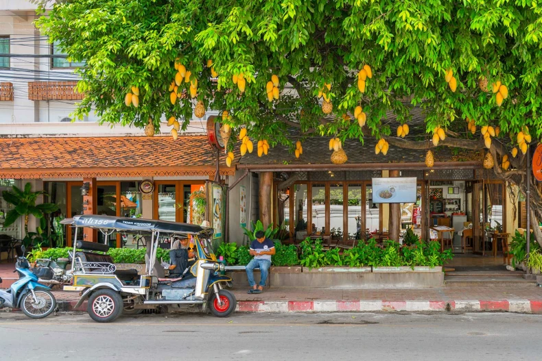 Hội An tạo ấn tượng mạnh với tạp chí du lịch nổi tiếng Travel+Leisure -0