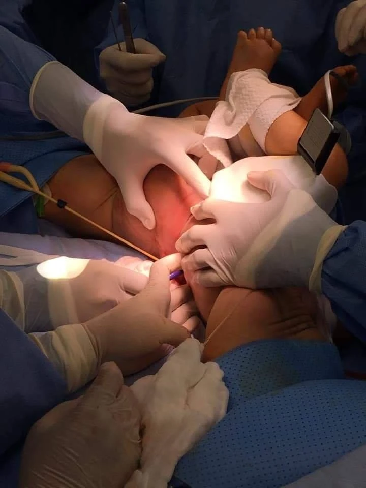 Kỳ tích của sự sống -0