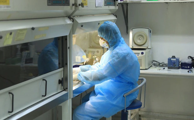 Vì sao test nhanh không có giá trị phát hiện người mang virus SARS-CoV-2? -0