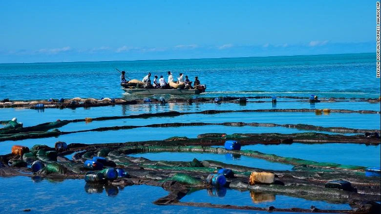 Con tàu rò rỉ dầu ngoài khơi Mauritius bị gãy làm đôi -0
