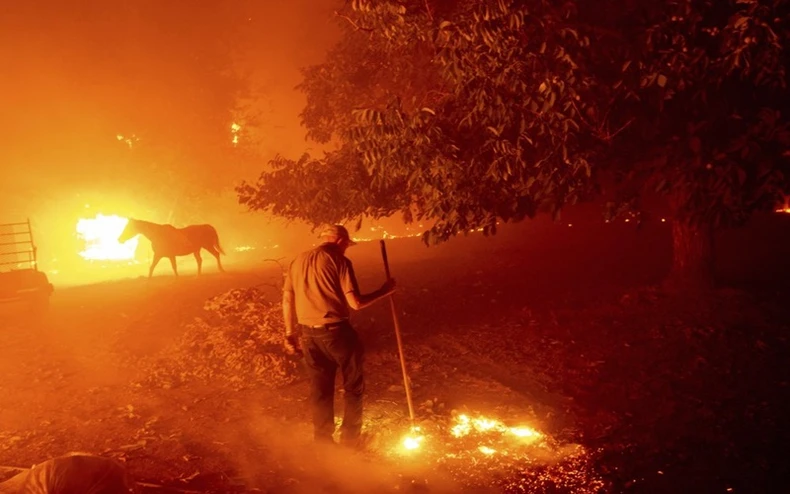 California trong vòng vây của “giặc lửa” -0