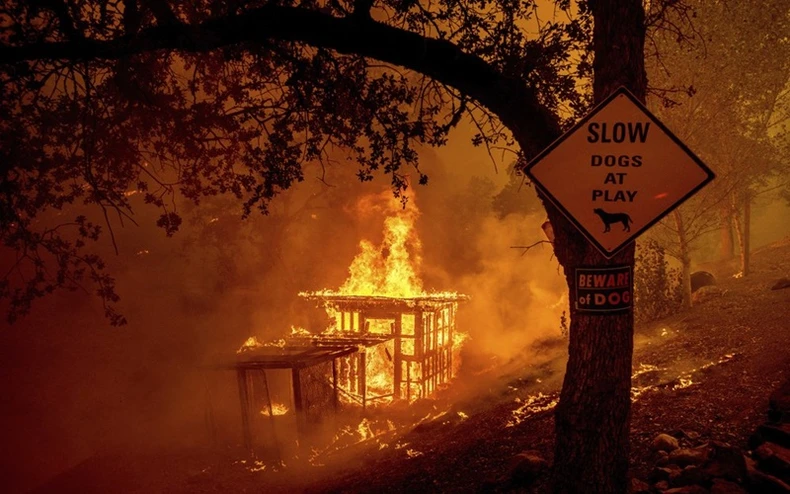 California trong vòng vây của “giặc lửa” -2