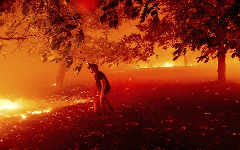 California trong vòng vây của “giặc lửa” -3