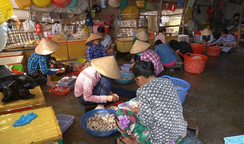 Nhớ con tôm tích... xứ hòn -0