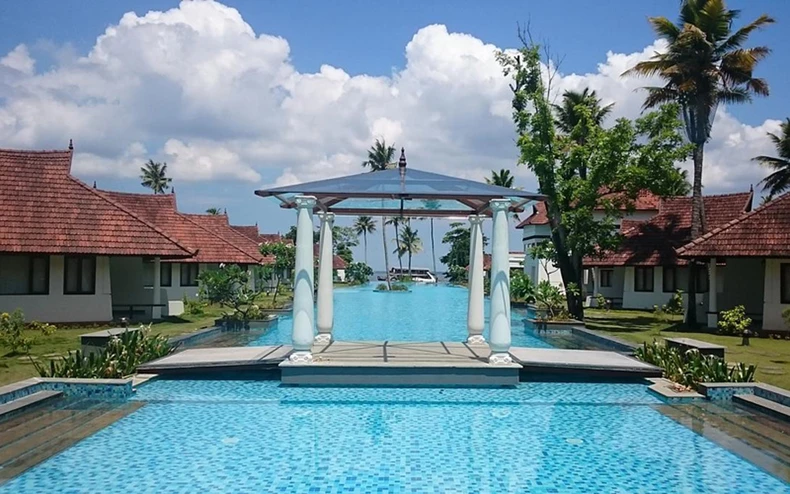 Covid-19 tấn công, resort biến bể bơi thành hồ nuôi cá thương phẩm -0