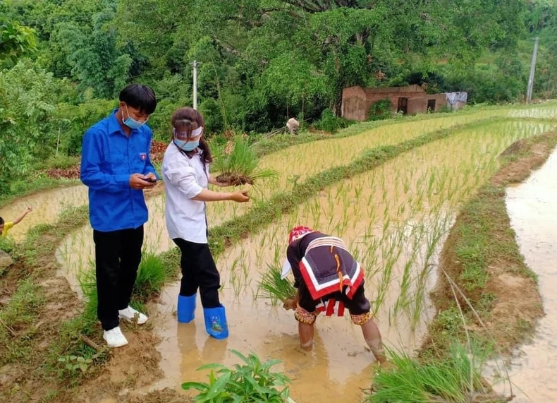 Thấm đẫm màu áo xanh tình nguyện trong chiến dịch vận động cài Bluezone -0
