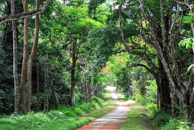 Đi đâu, chơi gì dịp nghỉ lễ 2-9 trong dịch Covid-19? -0