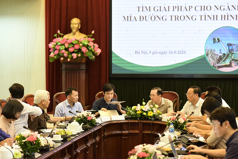 Tọa đàm trực tuyến “Tìm giải pháp cho ngành mía đường trong tình hình mới” -0