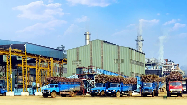 Tọa đàm trực tuyến “Tìm giải pháp cho ngành mía đường trong tình hình mới” -0