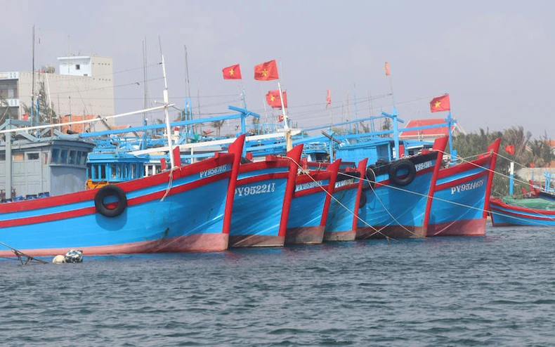 Các địa phương chủ động ứng phó bão số 5 -0