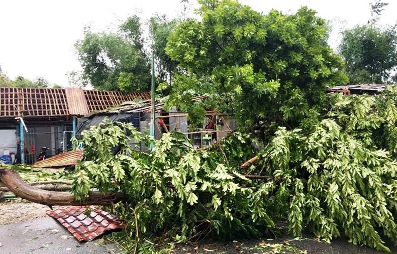 Thêm hai người tử vong liên quan bão số 5 tại Thừa Thiên Huế -0