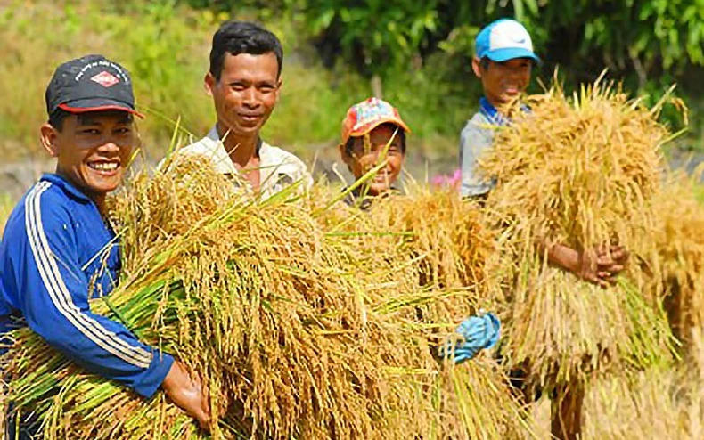 Lần đầu vinh danh 90 chi Hội trưởng nông dân tiêu biểu -0