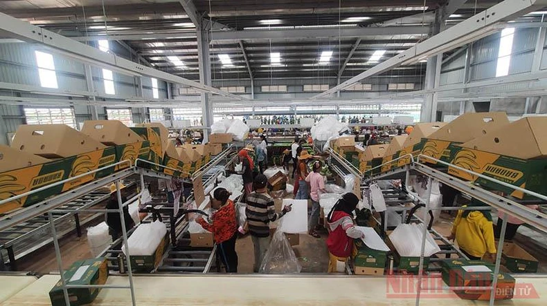 Chung tay giúp bà con gốc Việt vùng Biển Hồ chuyển đổi nghề nghiệp -0