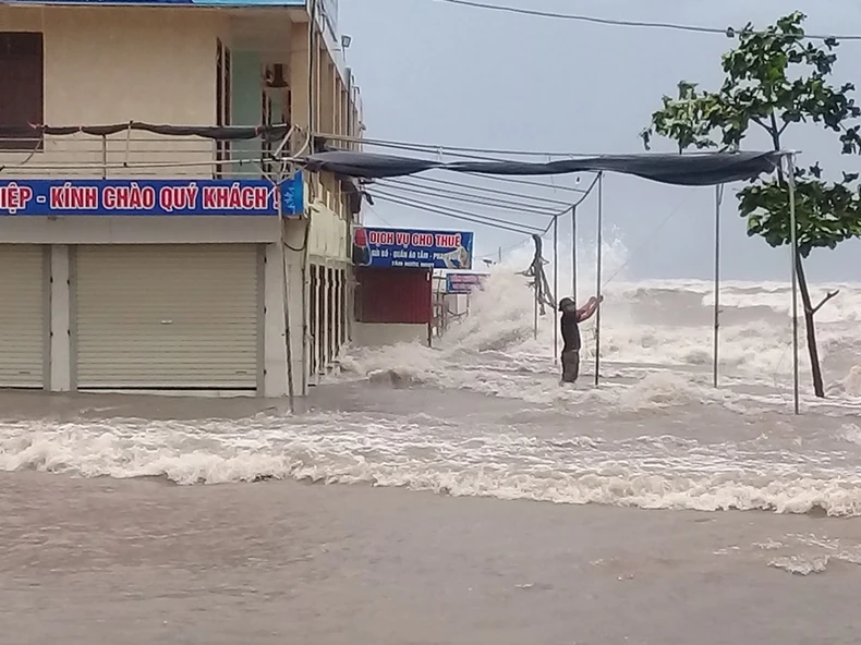 Mưa kỷ lục, thành phố Thái Bình ngập sâu, lúa gãy đổ trên diện rộng -0