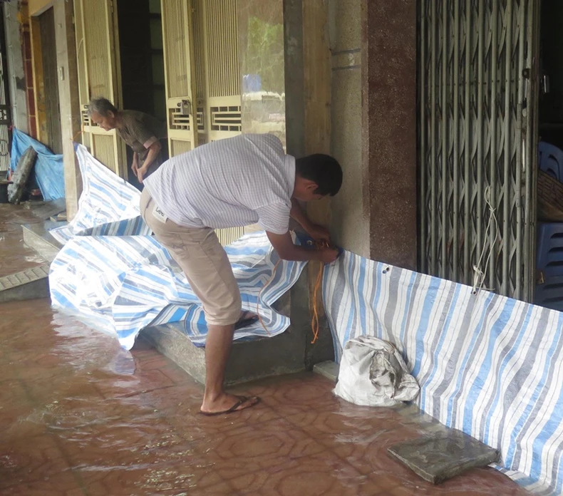 Mưa kỷ lục, thành phố Thái Bình ngập sâu, lúa gãy đổ trên diện rộng -0