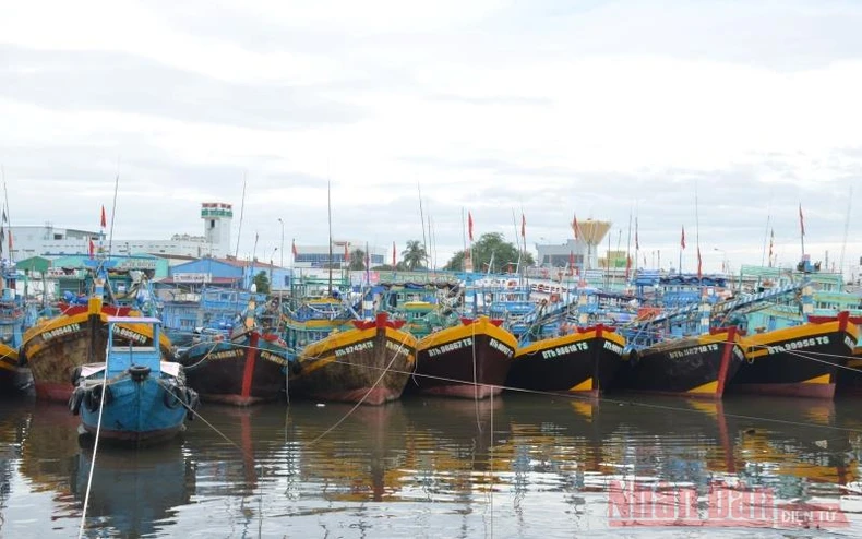 Các địa phương chủ động phòng chống bão số 9 -0
