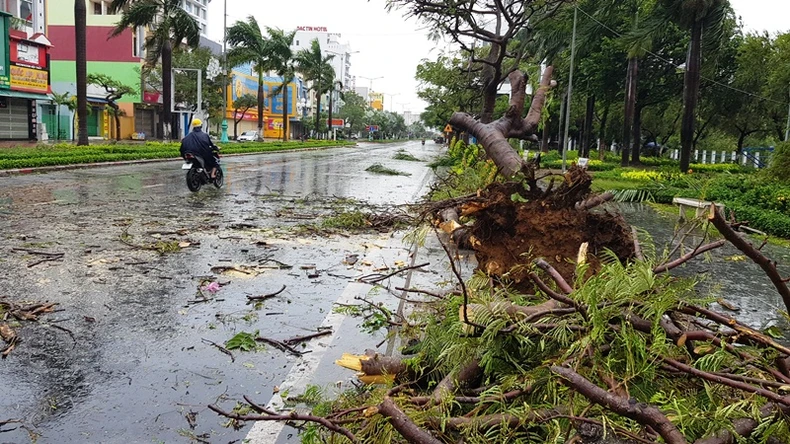 Bão số 9 gây mưa lớn, gió giật mạnh tại Phú Yên -0