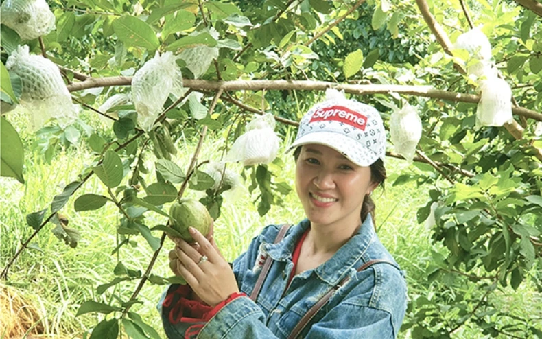 Đến với xứ Gò Quao -0
