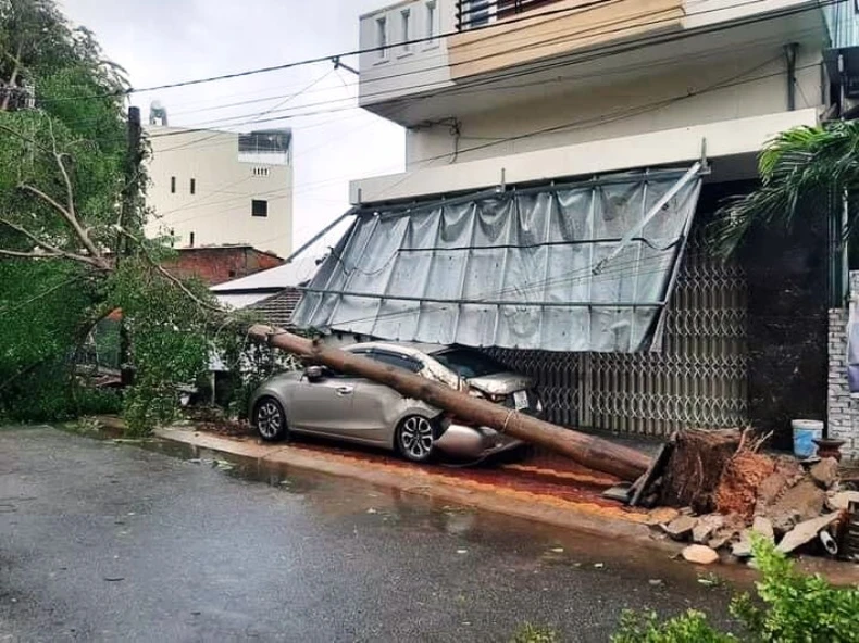 a1.jpg -0