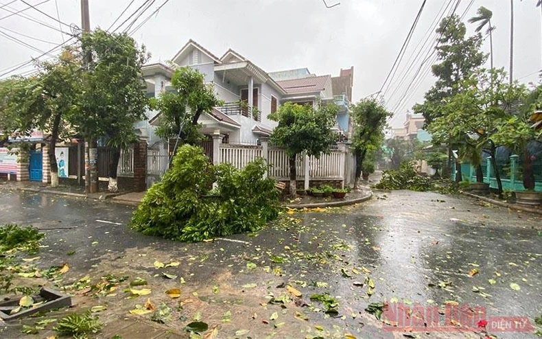 Đã có cây đổ, nhà tốc mái do bão số 9 -0