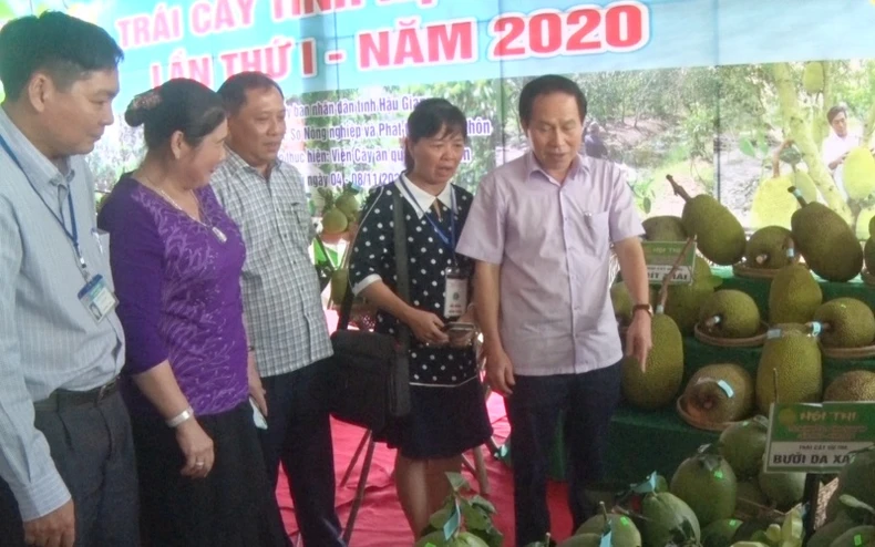 Khai mạc Ngày hội trái cây tỉnh Hậu Giang lần thứ 1 năm 2020 -0