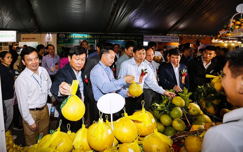 Khai mạc “Hội chợ Nông nghiệp và triển lãm sản phẩm OCOP vùng trung du miền núi phía bắc - Tuần lễ cam Cao Phong năm 2020” -0