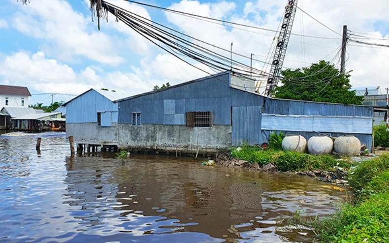 Thi nhau lấp dòng kênh xáng Xẻo Rô -0