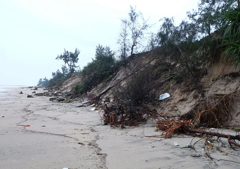 Bão lớn, nhưng không gây thiệt hại nặng -0