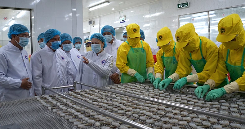 Cụm Khí-Điện-Đạm Cà Mau là “hình mẫu” của Tập đoàn Dầu khí quốc gia -0