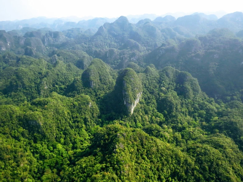 vuon-quoc-gia-phong-nha-ke-bang.jpg -0