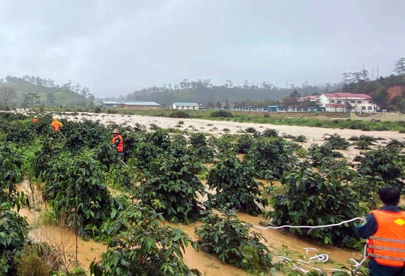 Cầu treo qua suối Klong Klanh bị lũ cuốn, khiến nhóm du khách gặp nạn -0