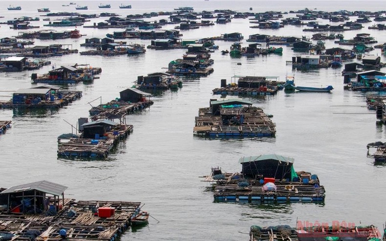 Tiềm năng du lịch biển, đảo của Kiên Giang -0