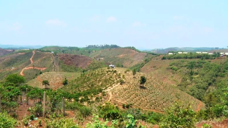 Sớm ổn định cuộc sống người dân vùng Thủy điện ở Đắk Glong -0