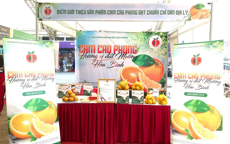 Cao Phong giữ vũng thương hiệu cam trước cơn lốc khủng hoảng giá -0