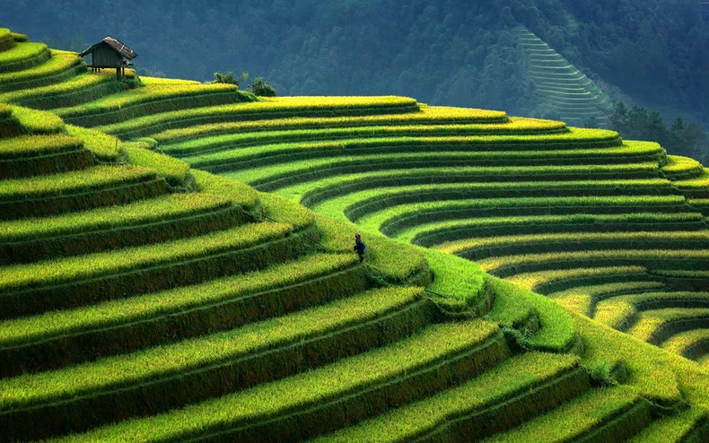 Việt Nam trong top điểm đến tốt nhất để du lịch cá nhân -0