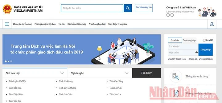 Khai trương Cổng thông tin Dịch vụ việc làm -0