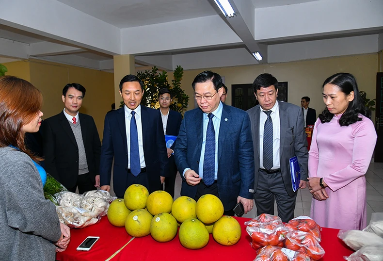 Xây dựng huyện Phúc Thọ thành vùng chuyên canh lớn của Thủ đô -0