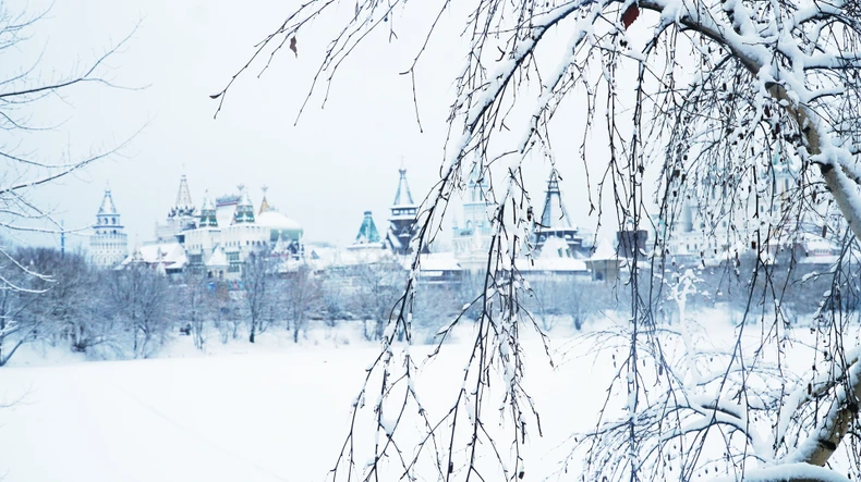 Năm mới đi chợ đồ cũ ở Moscow -0