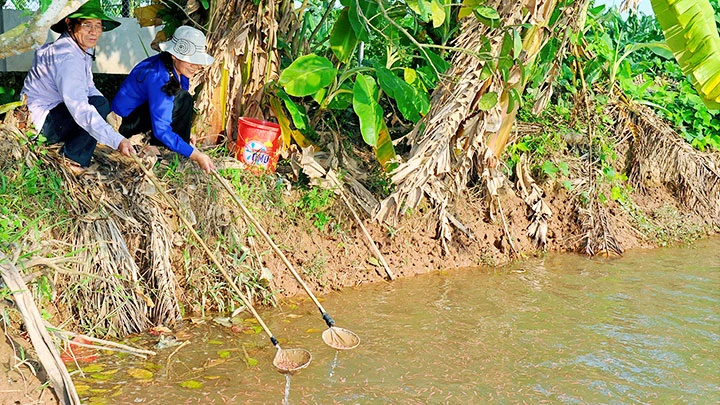 Lộc trời ở đất Tứ Kỳ -0