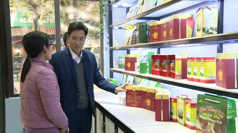 Trồng nấm đông trùng hạ thảo, hướng đi thoát nghèo bền vững -0
