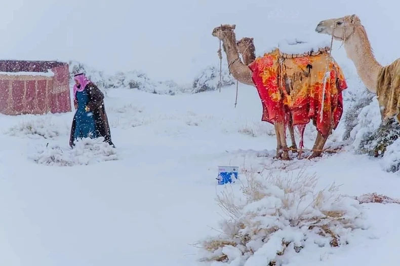 Tuyết rơi hiếm hoi ở sa mạc Sahara -0